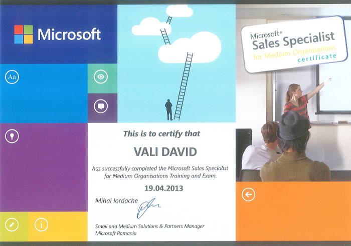 Vali David - vanzari Microsoft 2013